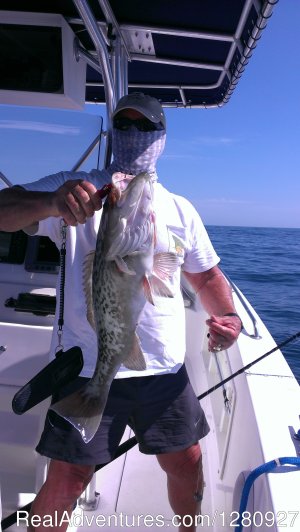 Sarasota Florida Fishing