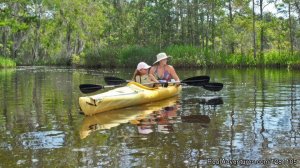 Altamaha Coastal Tours: Kayak-Canoe-Camp | Darien, Georgia