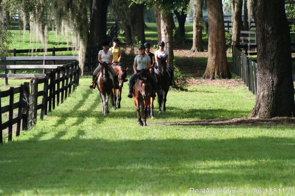 Trail riding and lesson available | Grand Oaks Resort | Image #3/20 | 