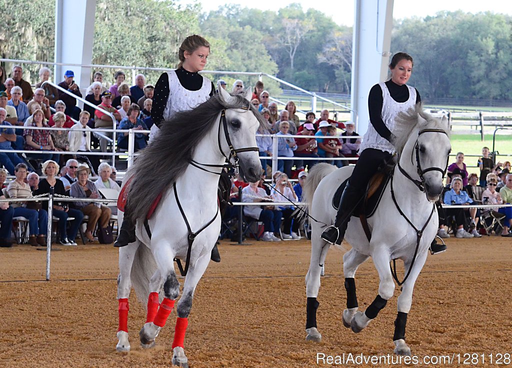 Regular schedule equine events in the Grand Oaks Arena | Grand Oaks Resort | Image #9/20 | 
