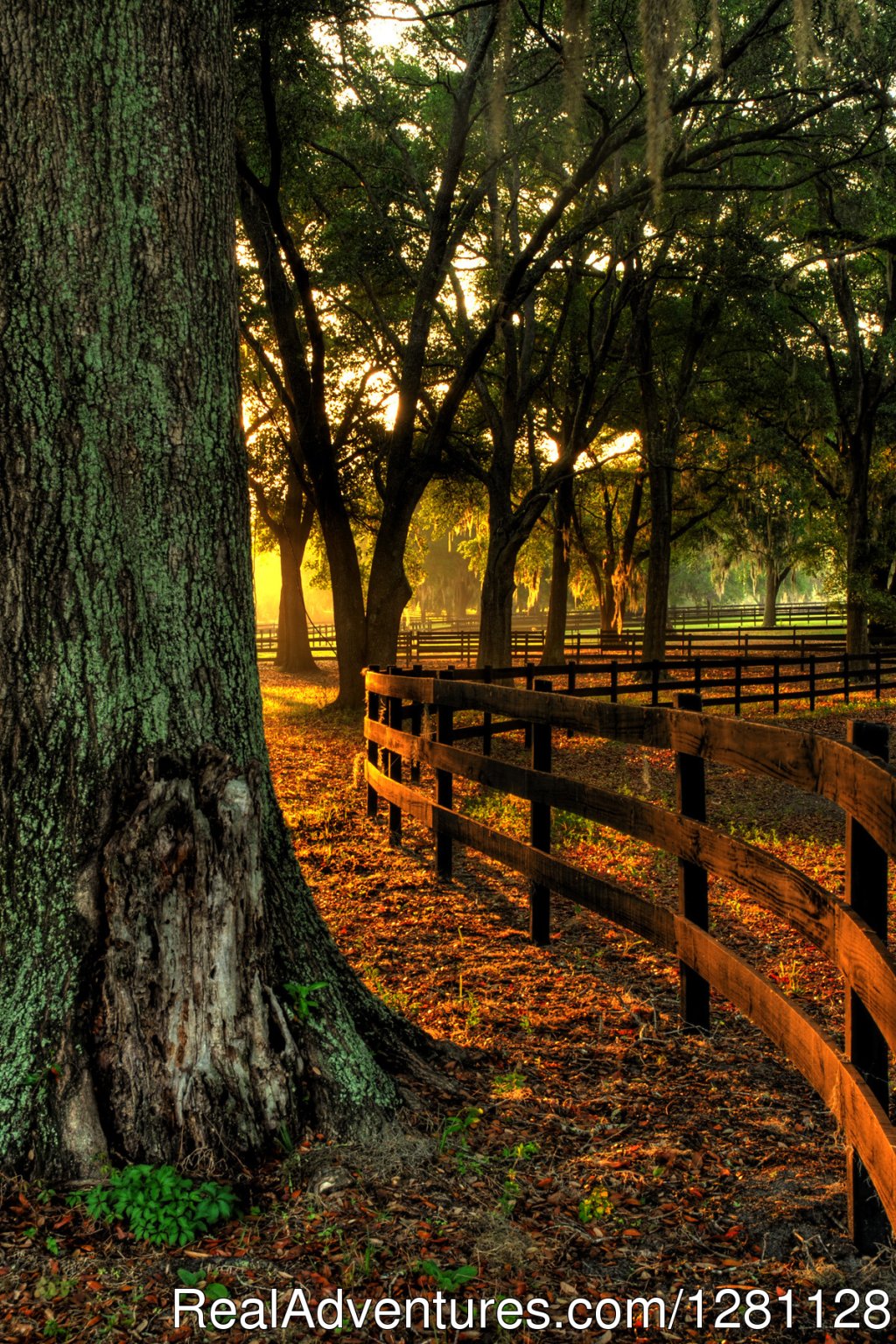 14 Miles Of Roads And Nature Trails | Grand Oaks Resort | Image #11/20 | 