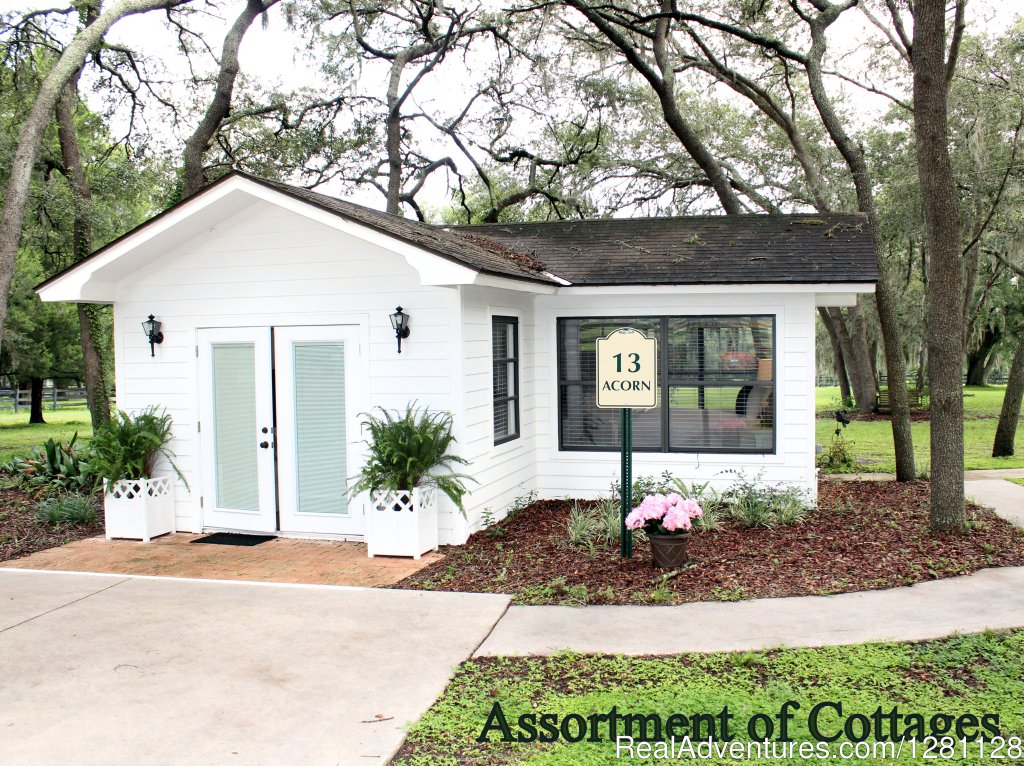 Cottages available on property | Grand Oaks Resort | Image #15/20 | 