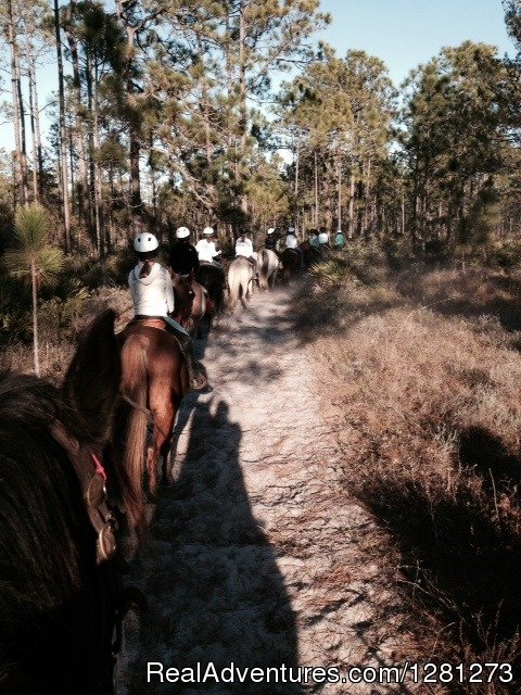 Trail Ride | Gulfside Trail Rides, LLC | Santa Rosa Beach, Florida  | Horseback Riding & Dude Ranches | Image #1/1 | 