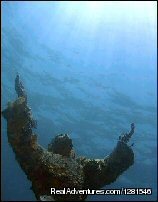 Sea Dwellers Dive Center of Key Largo | Key Largo, Florida | Scuba Diving & Snorkeling