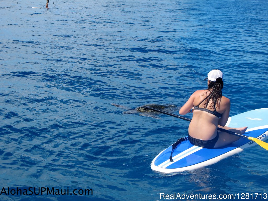 Aloha Kayaks Maui | Image #8/19 | 