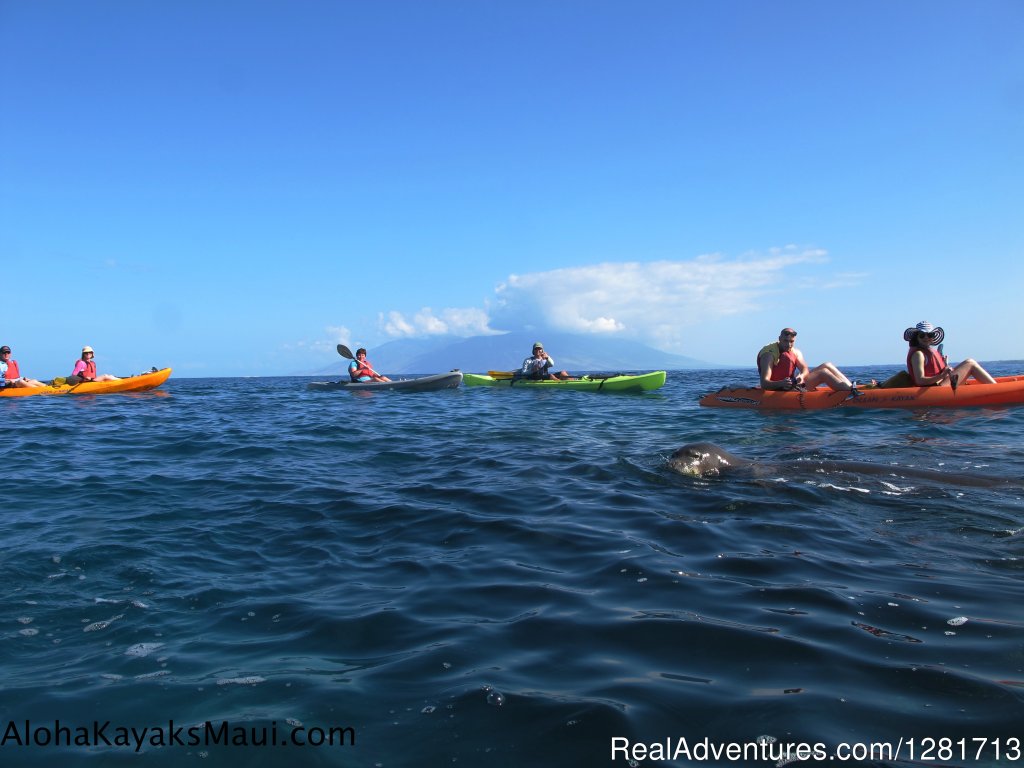 Aloha Kayaks Maui | Image #15/19 | 