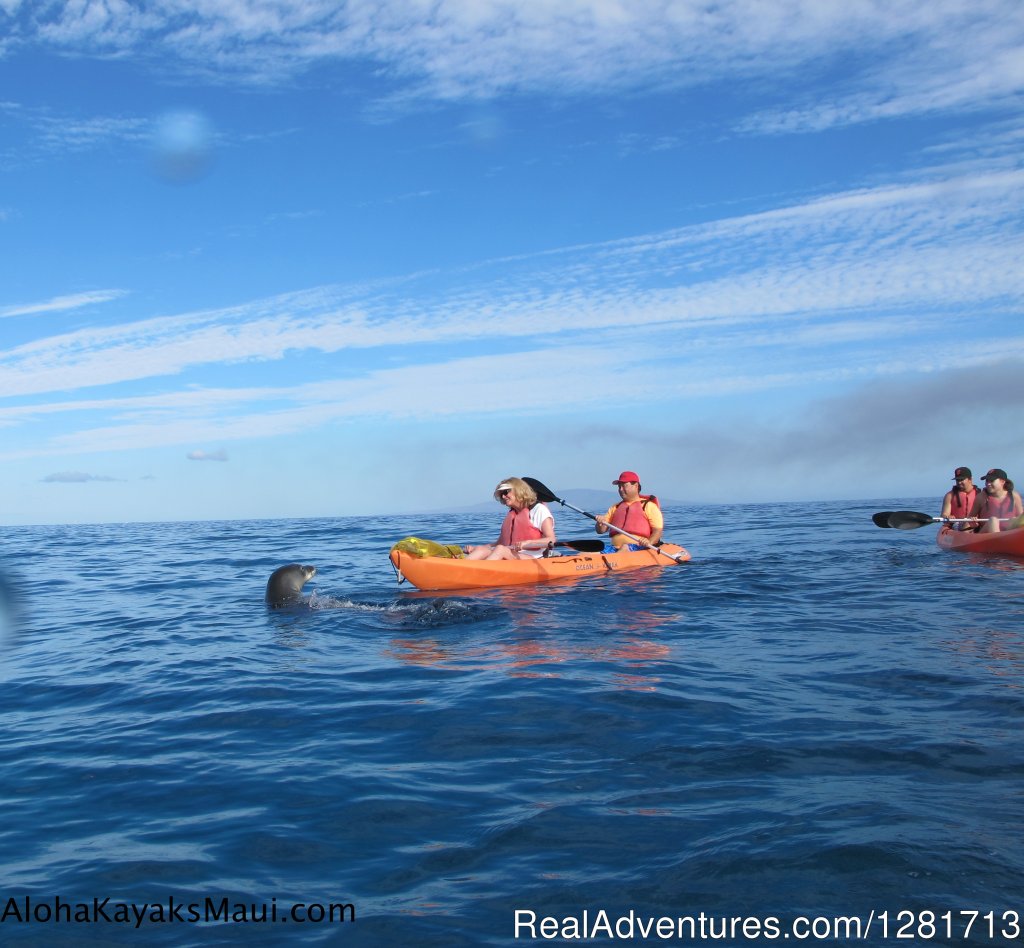 Aloha Kayaks Maui | Image #17/19 | 