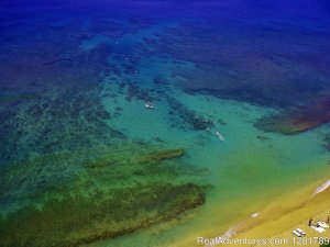 Tiny Bubbles Scuba | Lahaina, Hawaii Scuba & Snorkeling | Kaanapali, Hawaii