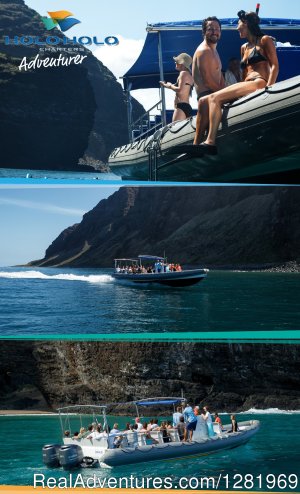 Holo Holo Charters | Sight-Seeing Tours Eleele, Hawaii | Great Vacations & Exciting Destinations