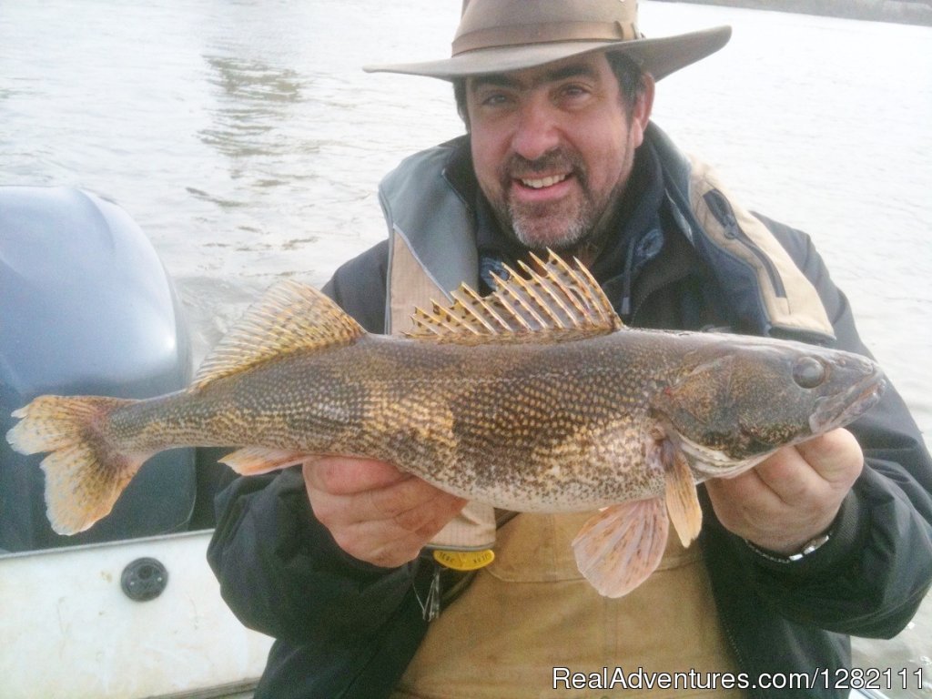 Lunker Illinois River Sauger | Small groups, Big catches with Wild Dog Good Guyde | Image #2/8 | 