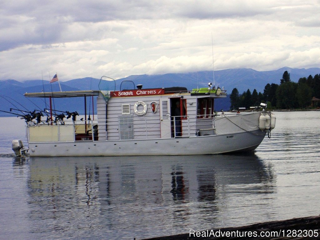 The Seagull 34' with Covered Fishing Deck | Seagull Charters, Fishing & Site Seeing Excursions | Image #5/12 | 