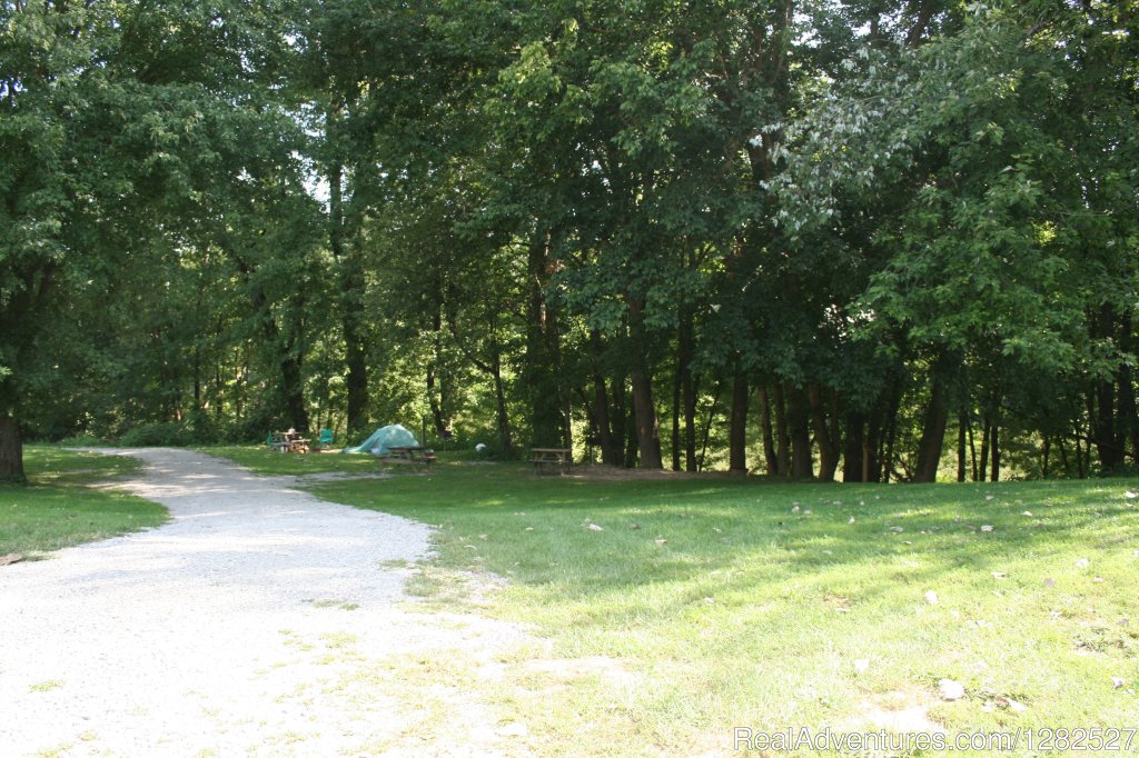 Tent Sites On The River Side | Kentucky River Campground | Image #18/22 | 