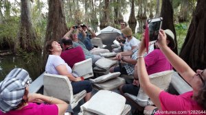 Eco-swamp tours at Cajun Country Swamp Tours