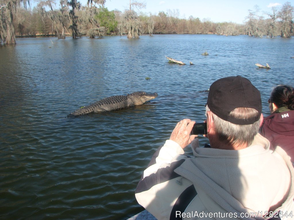 Eco-swamp tours at Cajun Country Swamp Tours | Image #8/14 | 