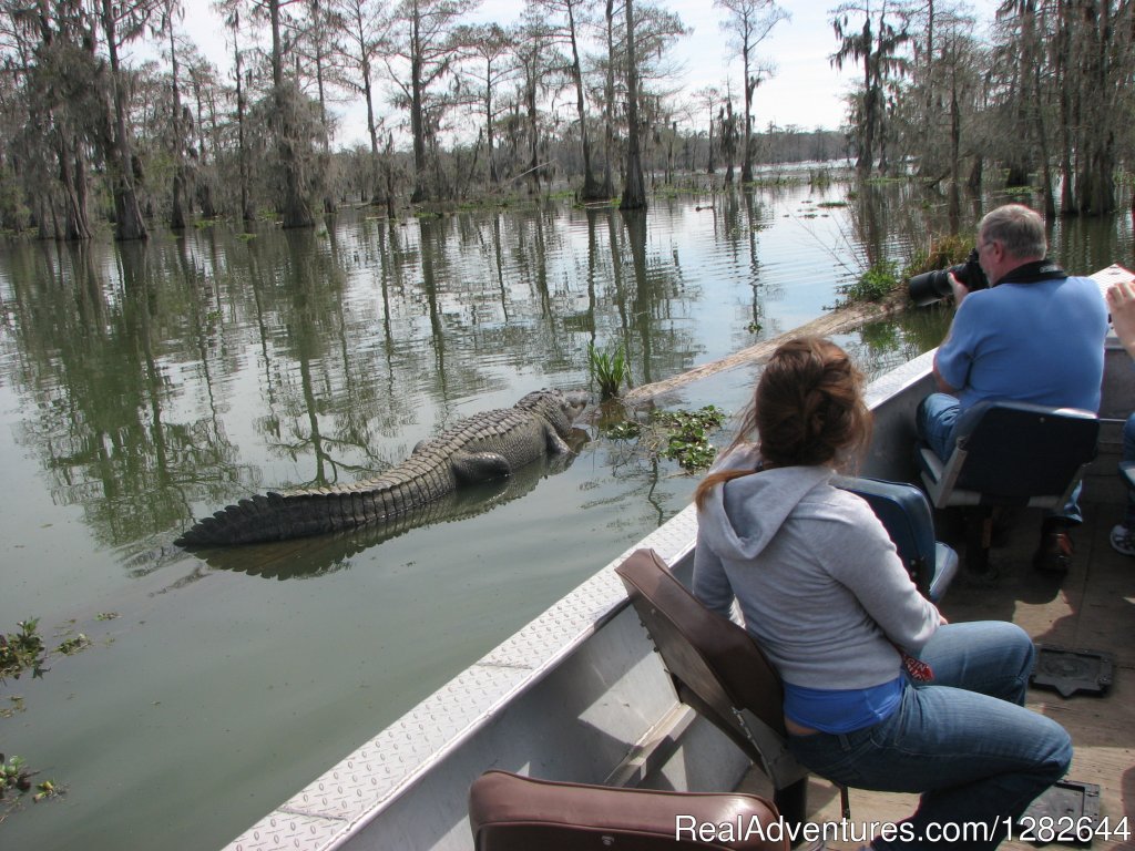 Eco-swamp tours at Cajun Country Swamp Tours | Image #10/14 | 