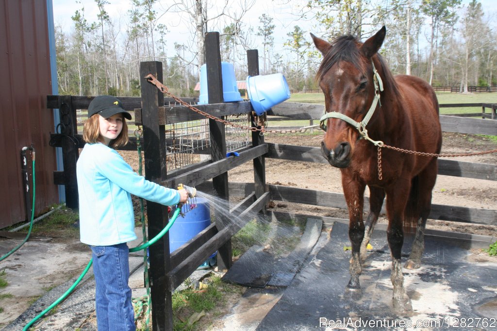 Haily washes her horse | Splendor Farms | Image #11/12 | 