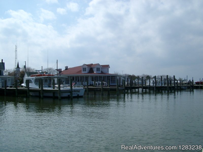 Smith Island | Chesapeake Bay Scenic Cruises and Tours | Fishing Creek, Maryland  | Cruises | Image #1/3 | 