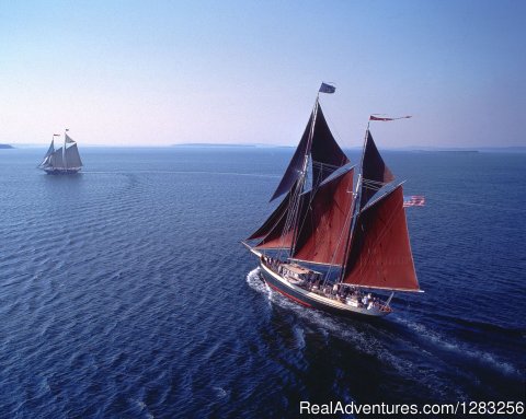 Aerial View of Windjammer Angelique