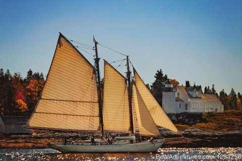 Schooner Ladona sailing past Pumpkin Island, Maine