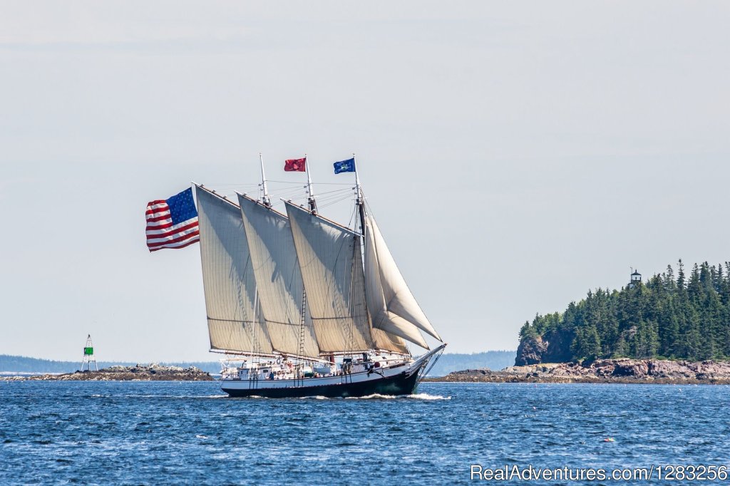 Schooner Victory Chimes at Full Sail | The Maine Windjammer Association | Image #5/5 | 