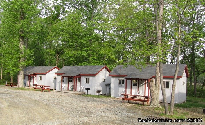 Rustic Cabins | The Campgrounds at Sandy Cove | Image #12/22 | 