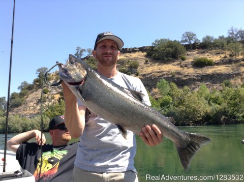 Smallmouth Bass On The Sacramento River