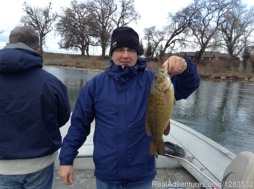 Smallmouth Bass on the Sacramento River | Great Steelhead & Salmon Fishing In Northern Ca | Image #3/5 | 