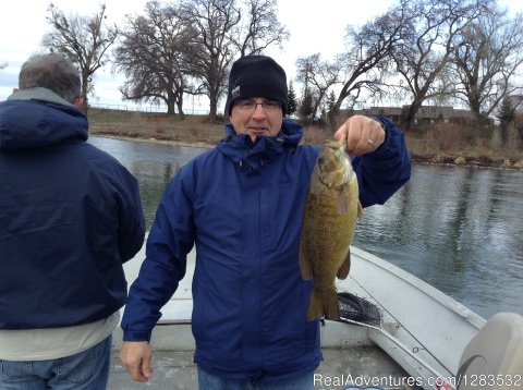 Smallmouth Bass on the Sacramento River