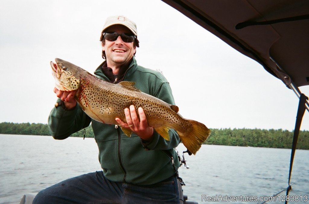 Trophy Brown 10lbs 11 oz. | Bill Laflamme | Sidney , Maine  | Fishing Trips | Image #1/5 | 