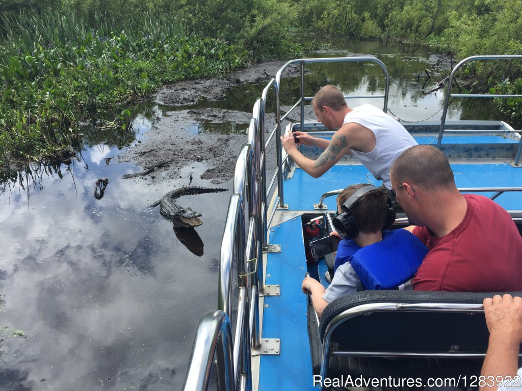 alligator tours near daytona beach