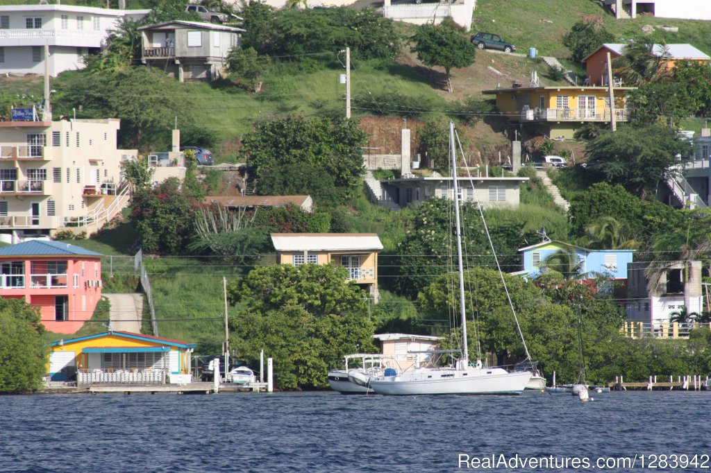 Classic Sail Charters - Puerto Rico | Image #4/8 | 