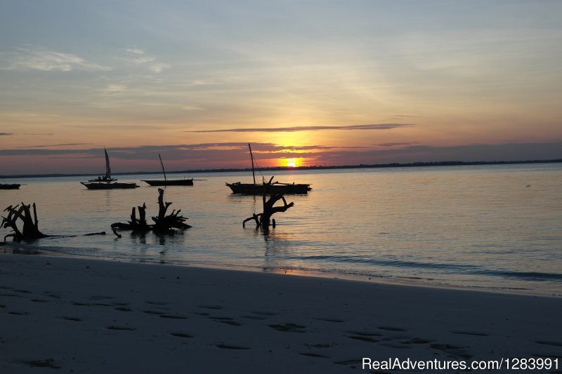 Amazing Michamvi sunset | Relax in peaceful Kae Zanland | Image #10/10 | 