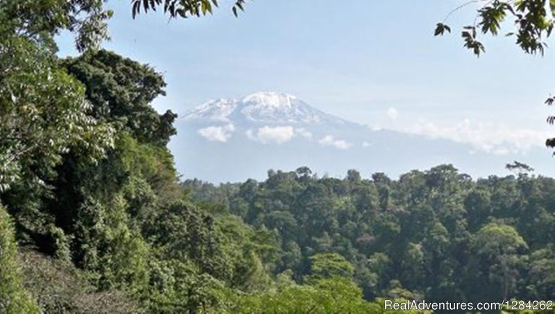Mount Kilimanjaro | Nyota Bed And Breakfast | Image #8/12 | 
