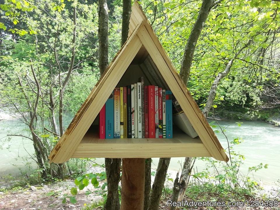 Our unique library under the trees | Open air hostel NaturPlac | Image #9/26 | 