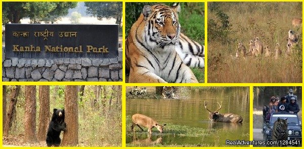 Kanha Natinal Park | Best Safari Packages At The Earth Safari Pvt. Ltd. | Image #7/11 | 
