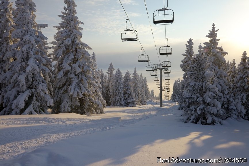 Morning powder | Single Ski Hub: Skiing and Snowboarding vacations | Image #4/7 | 