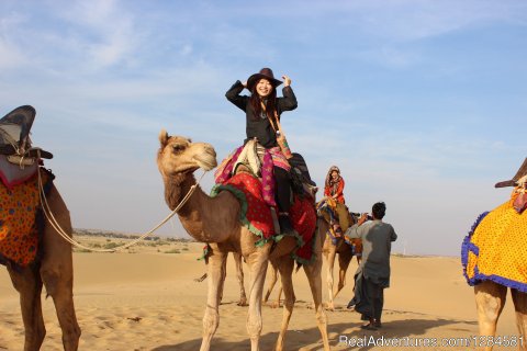 Camel Safari In Desert