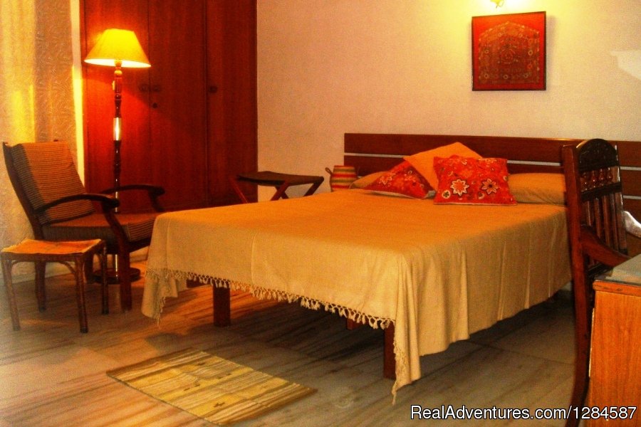 The Leap | New Delhi Homestay Eco Cultural Tours | Image #4/26 | 