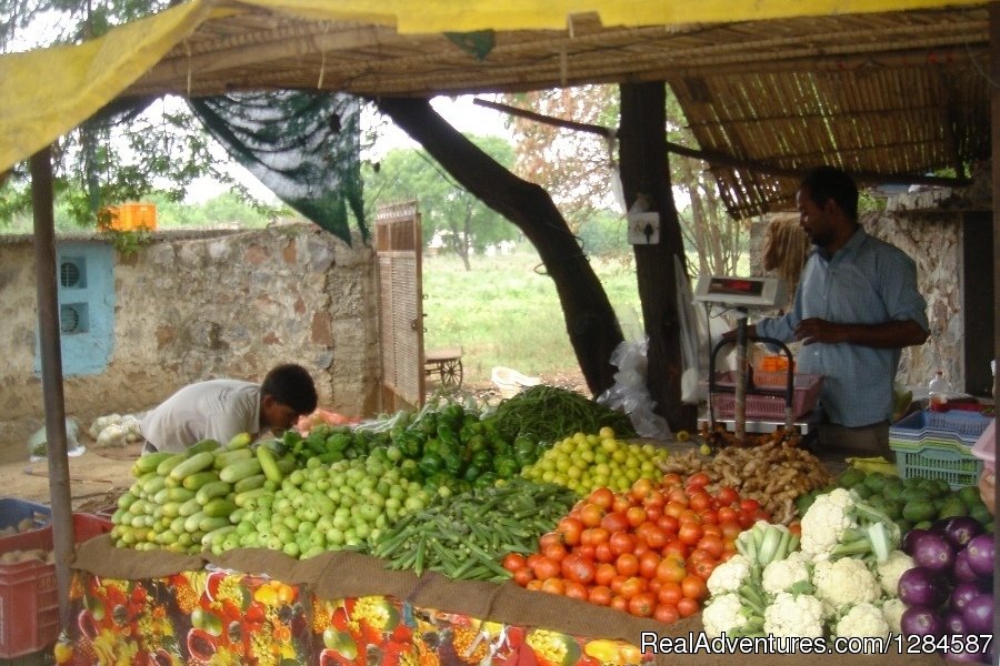 Organic Veggies | New Delhi Homestay Eco Cultural Tours | Image #18/26 | 