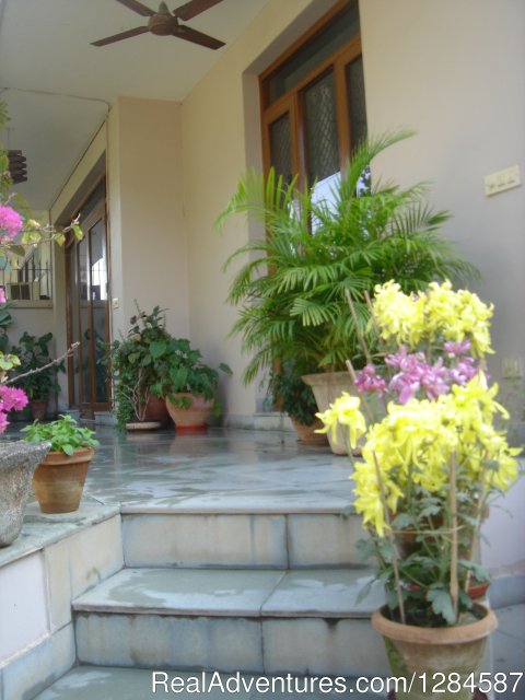 The Patio