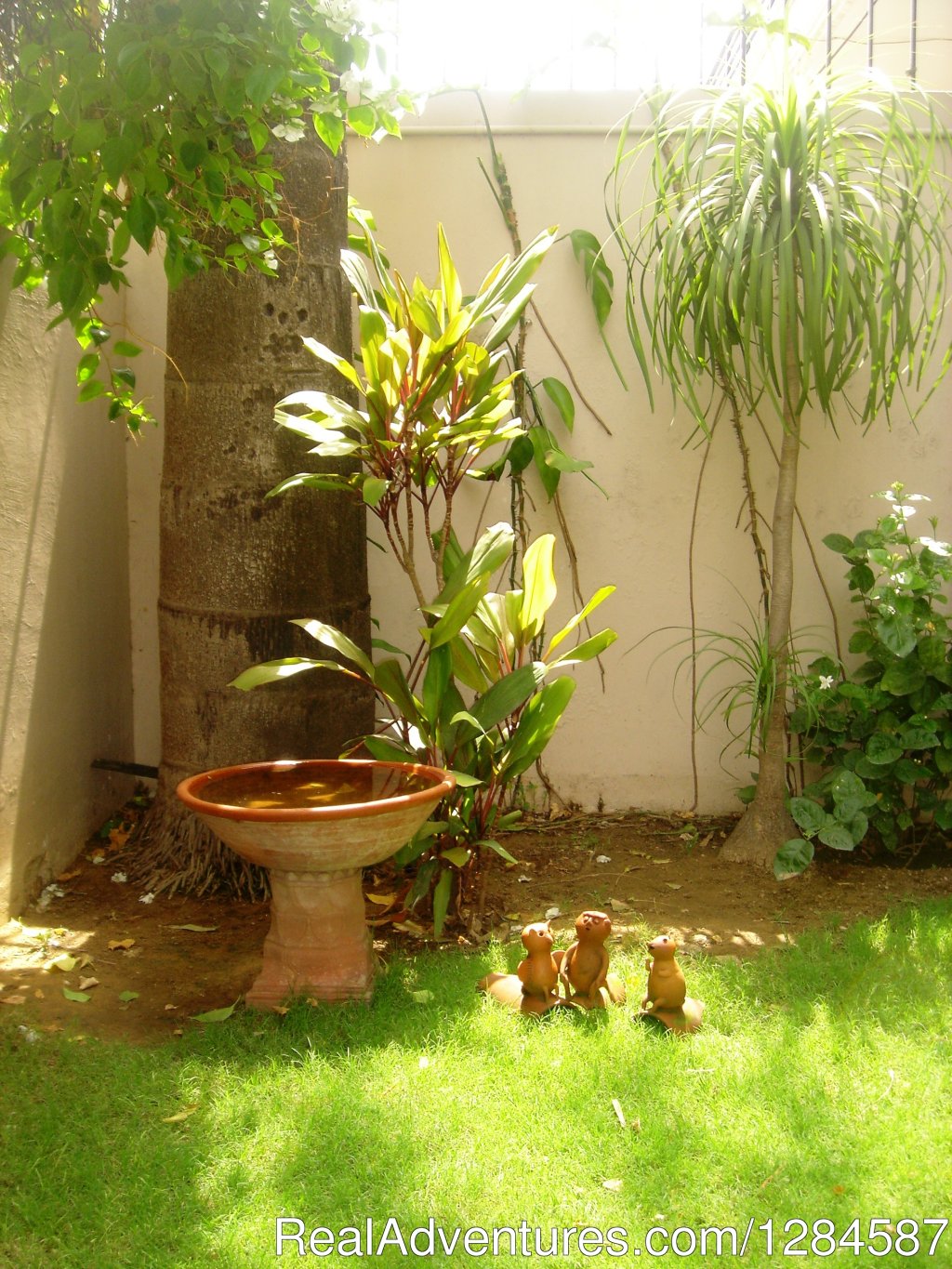 A quiet corner for our clay residents | New Delhi Homestay Eco Cultural Tours | Image #11/26 | 