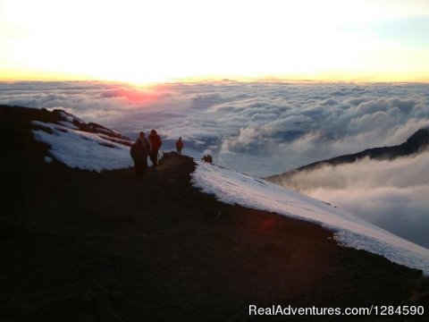 Snow Caped Peak