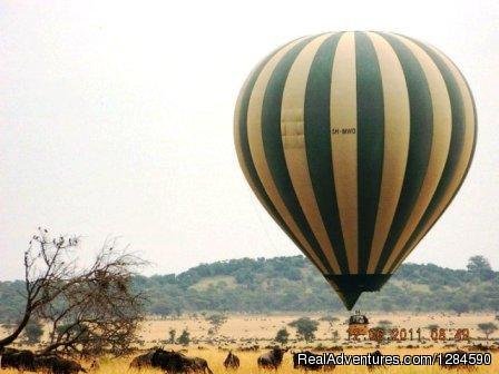 Serengeti Balloon Safari