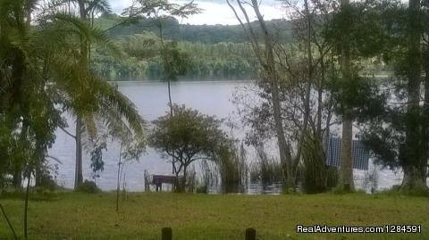 Beauty | Kibale River Camp | Image #7/11 | 