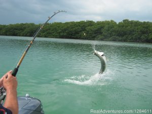 Backwater Fishing in Puerto Rico