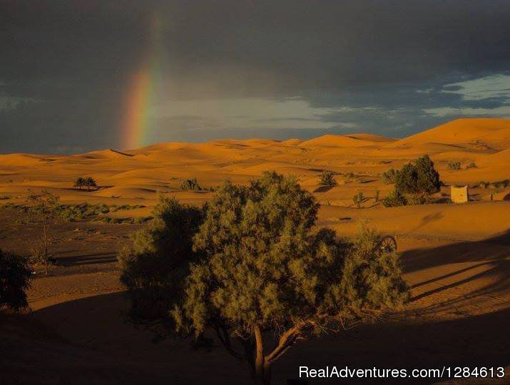 Merzouga Camel Trekking | Traveling In Morocco Tours | Image #6/15 | 