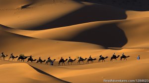 Welcome To Nomade Experience Travel | Madison, Morocco | Sight-Seeing Tours