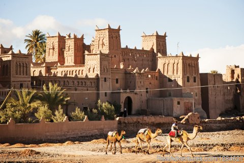 Marrakech desert trips is a tour company based in Marrakech specialized in organizing private and shared Morocco desert tours departing from Marrakech for 2, 3 and 4 days. All our tours include a camel trekking and overnight at our Sahara desert camp