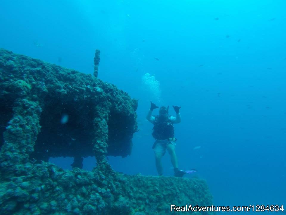 Reef dive no experince needed with Keys Huka Dive | Image #15/16 | 