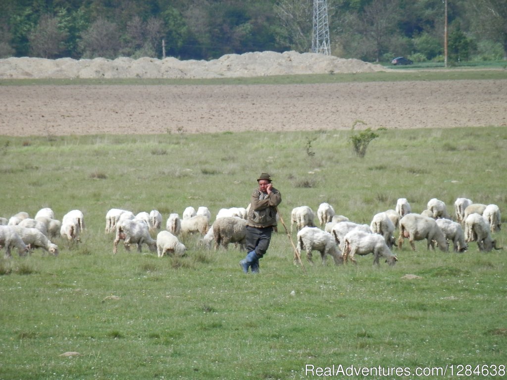 At work... | Discover Authentic Romania - 3 to 12 day tour | Image #4/26 | 